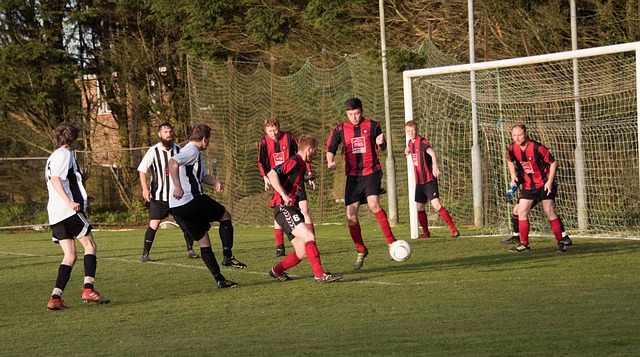 陆续投入使 陆续投入使