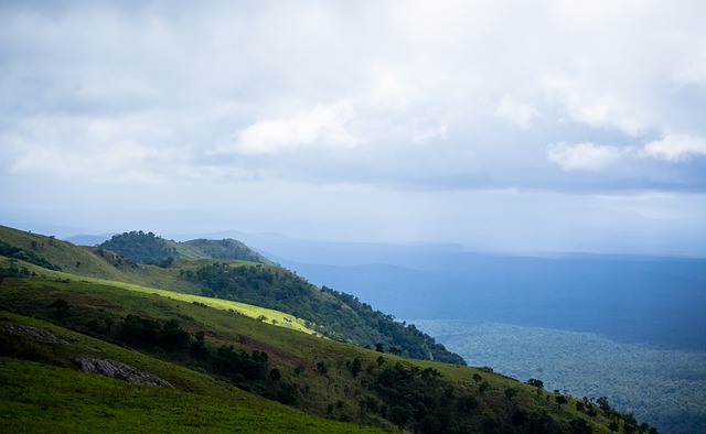 久尔杰维奇 久尔杰维奇