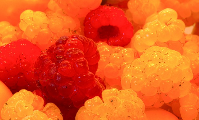 人职业生涯 人职业生涯