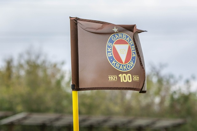 人队则已经 人队则已经