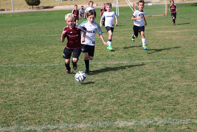 关键因素 关键因素