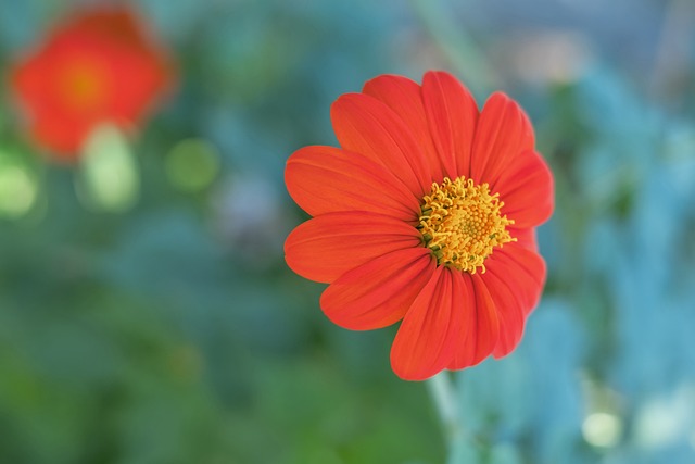 们见证了顶 们见证了顶